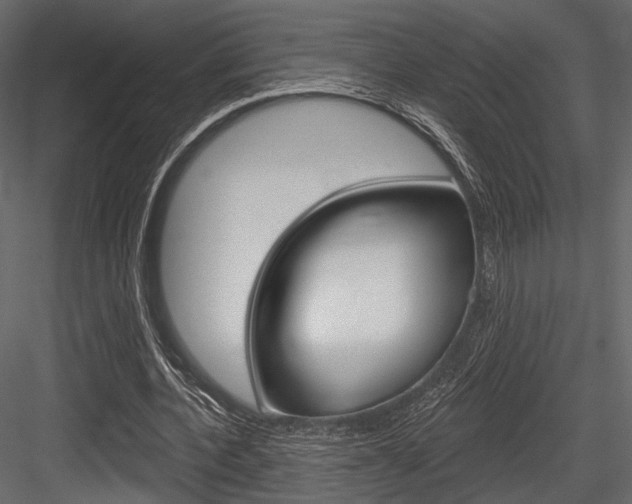 X0000084600532200702231038