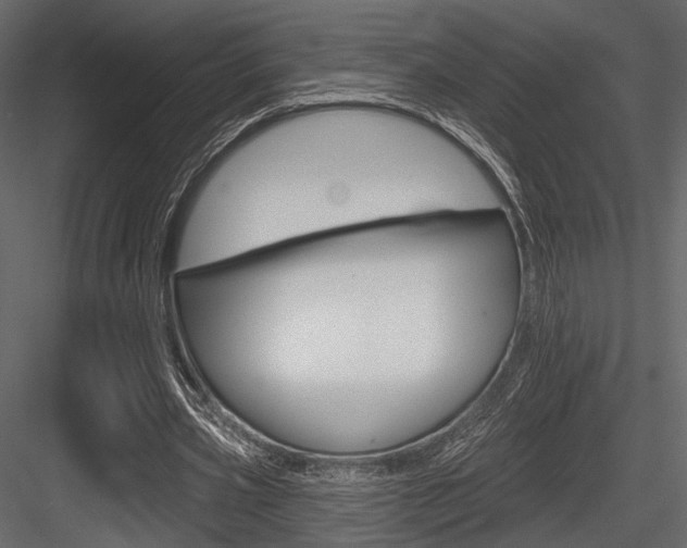 X0000084600533200702231038