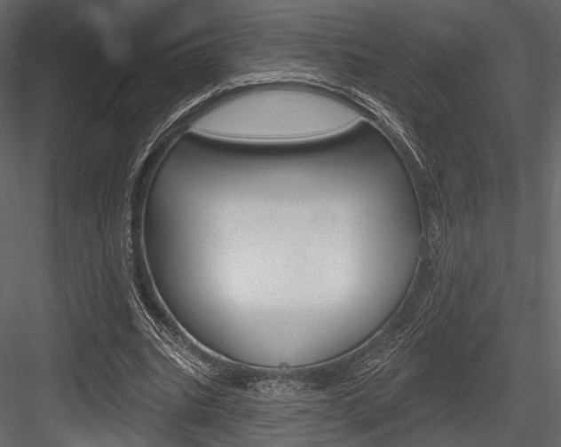 X0000084600535200702231038