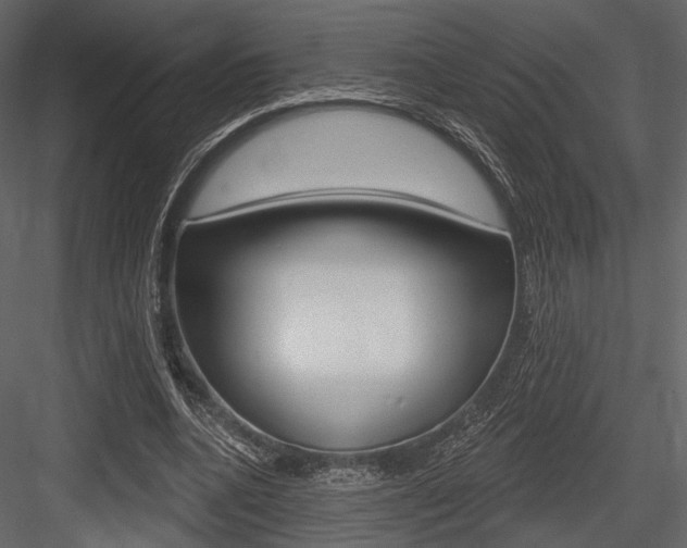 X0000084600536200702231038