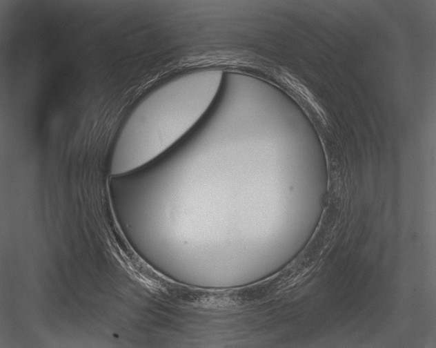 X0000084600537200702231038