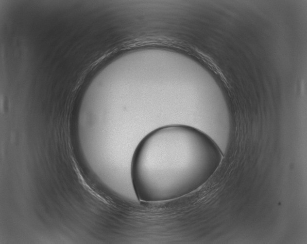 X0000084600538200702231039