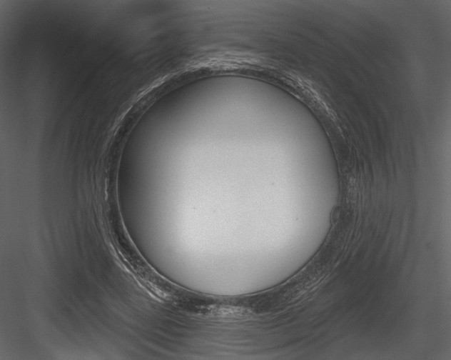 X0000084600539200702231039