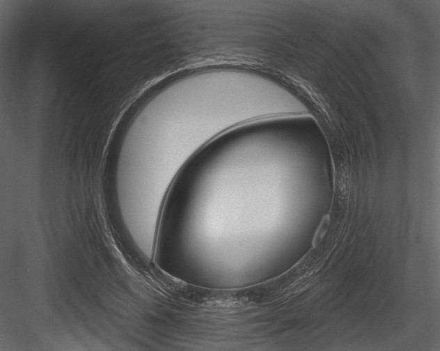 X0000084600540200702231039