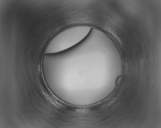 X0000084600541200702231039