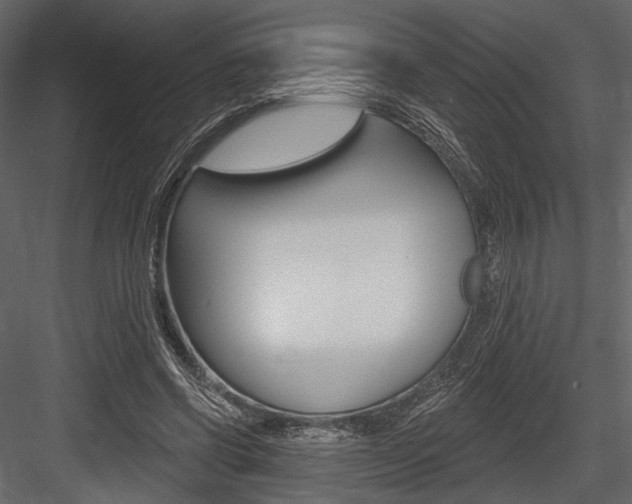 X0000084600542200702231039
