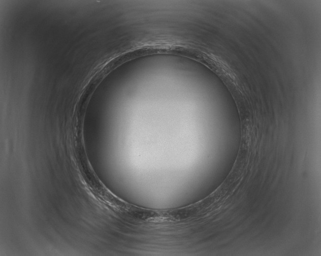 X0000084600544200702231039