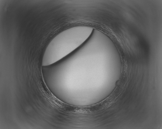 X0000084600545200702231039