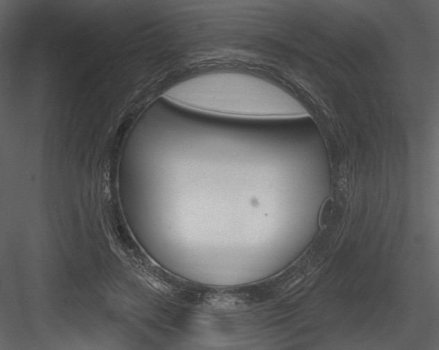X0000084600547200702231039