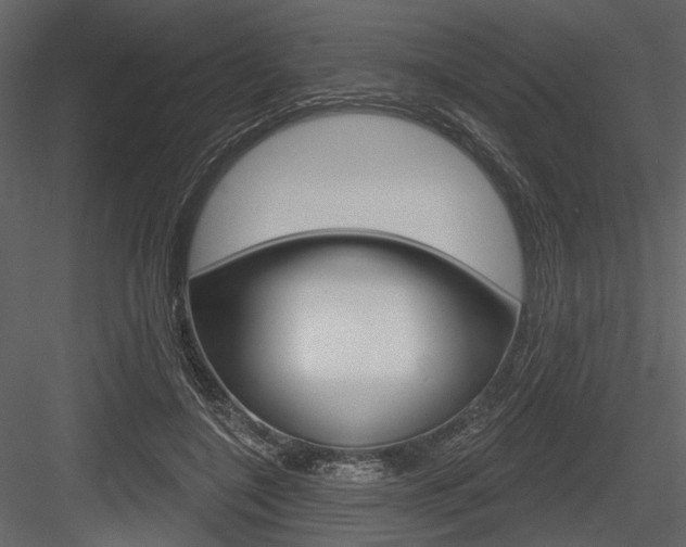 X0000084600548200702231039