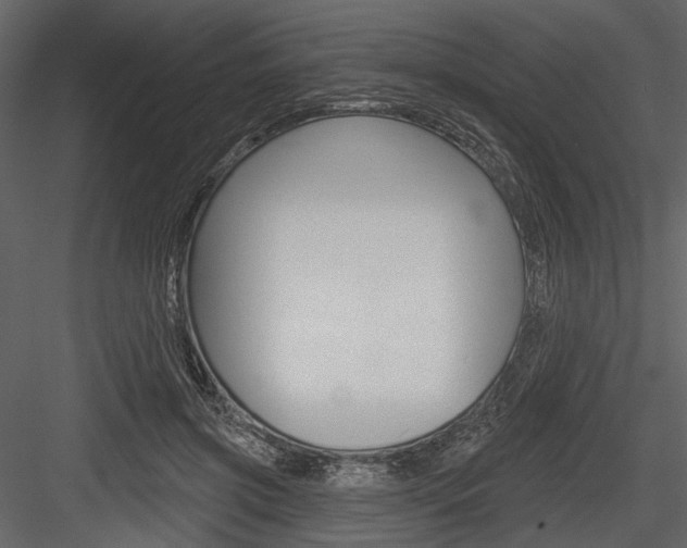 X0000084600549200702231039