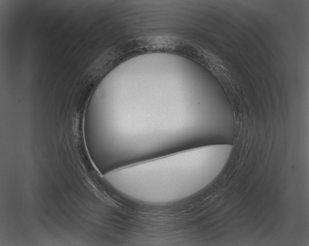 X0000084600550200702231039
