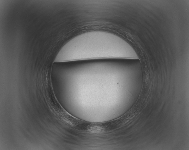 X0000084600551200702231039
