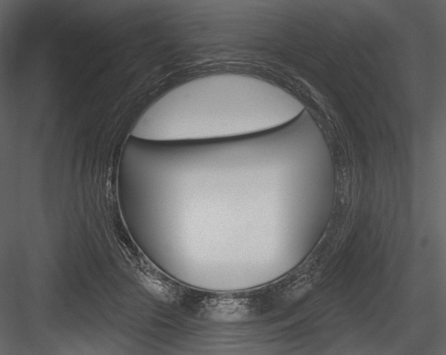 X0000084600553200702231039