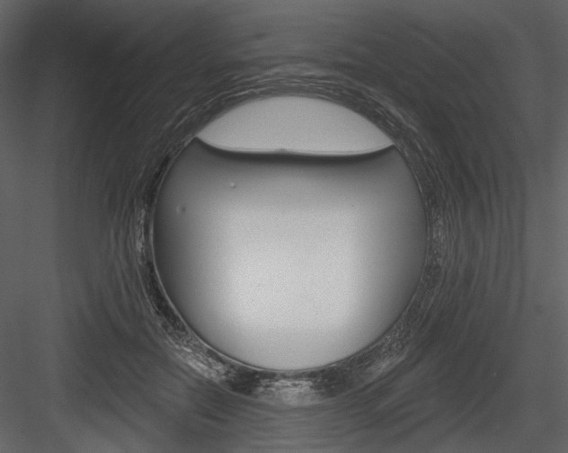 X0000084600554200702231039