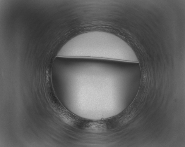 X0000084600555200702231039