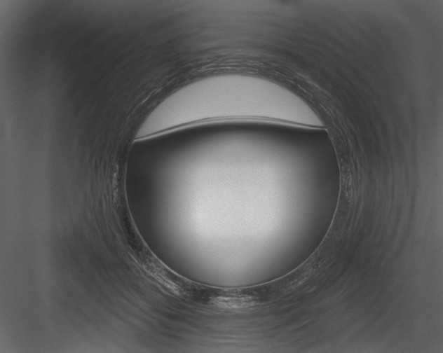 X0000084600556200702231039