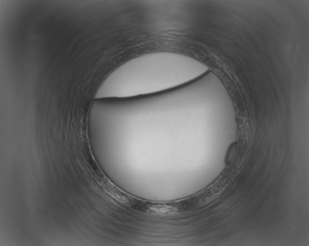 X0000084600557200702231039