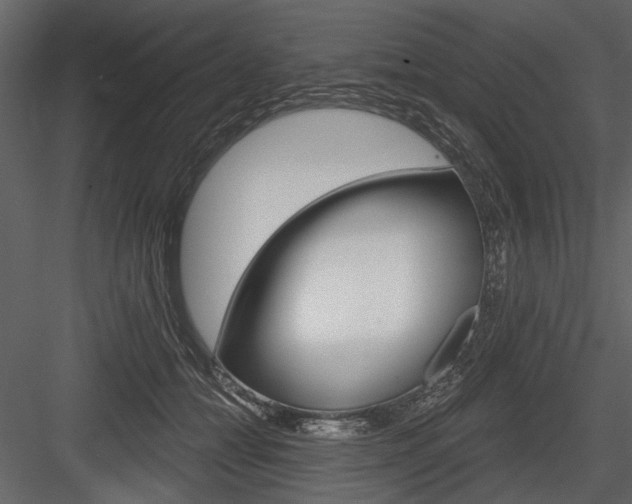 X0000084600558200702231039