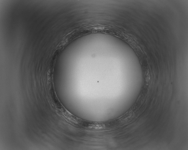 X0000084600559200702231039