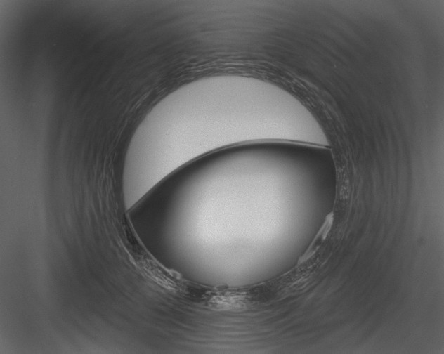 X0000084600560200702231039