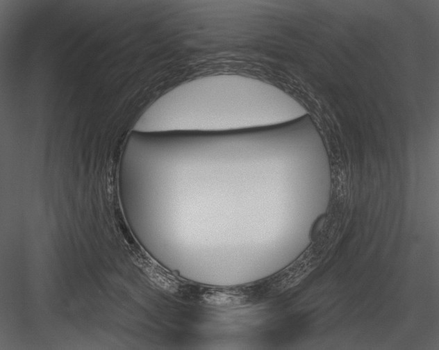 X0000084600561200702231039