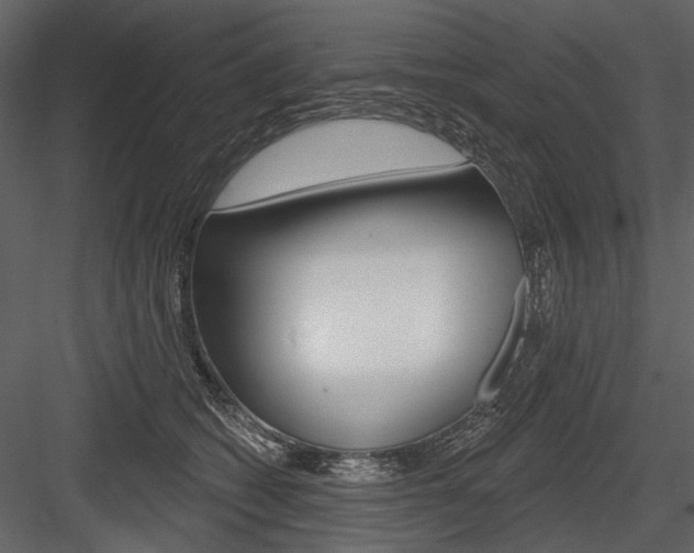 X0000084600562200702231039