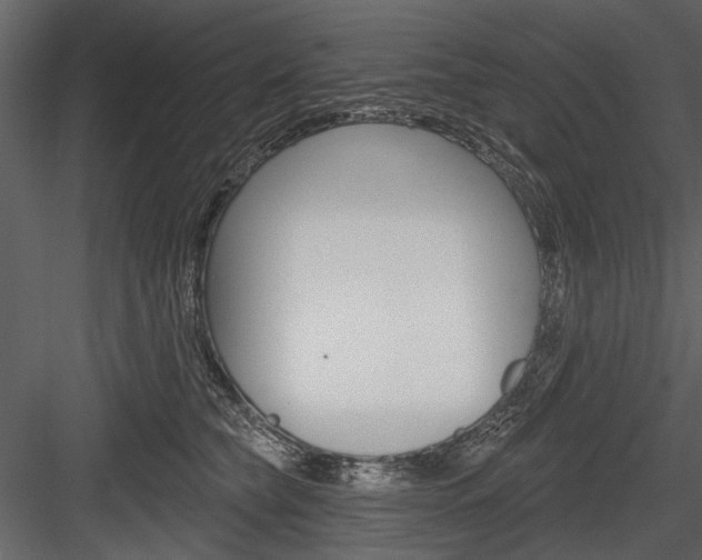 X0000084600565200702231039