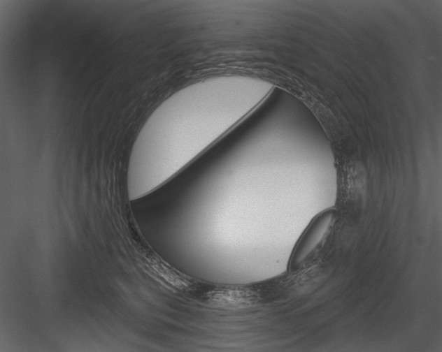 X0000084600567200702231039