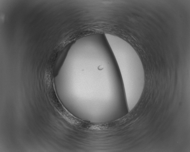 X0000084600568200702231039