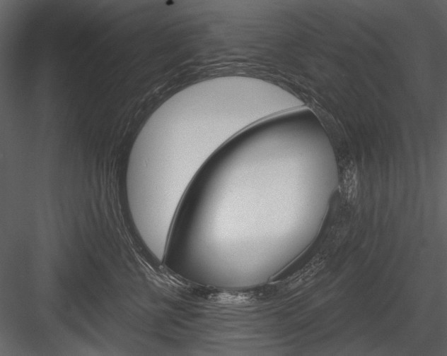 X0000084600570200702231039