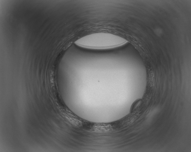 X0000084600571200702231039