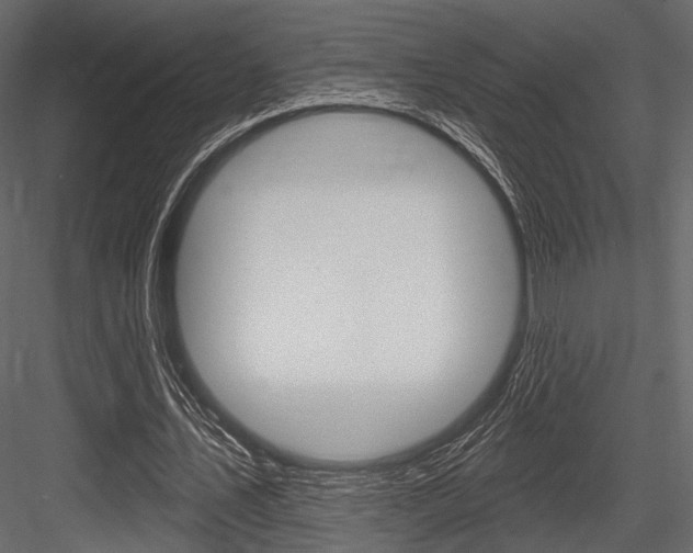 X0000084600579200702231038