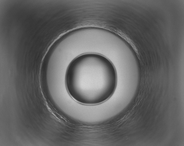 X0000084600580200702231038