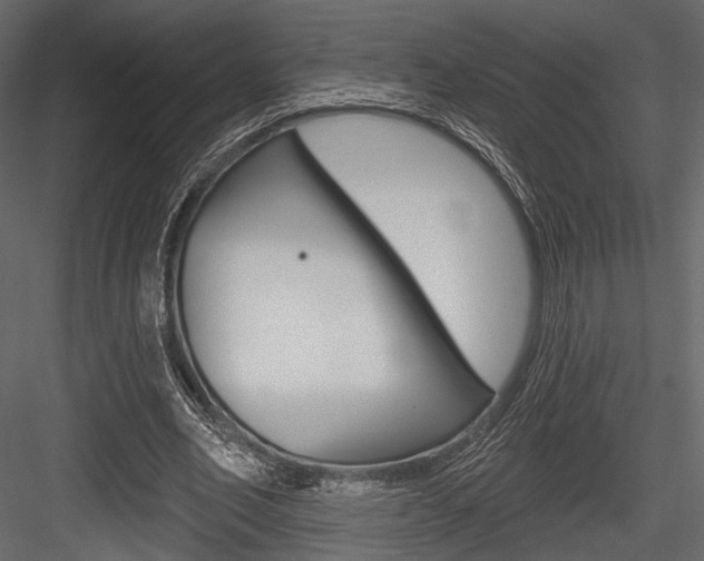 X0000084600582200702231038