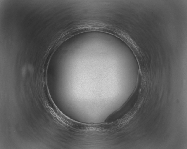 X0000084600585200702231038