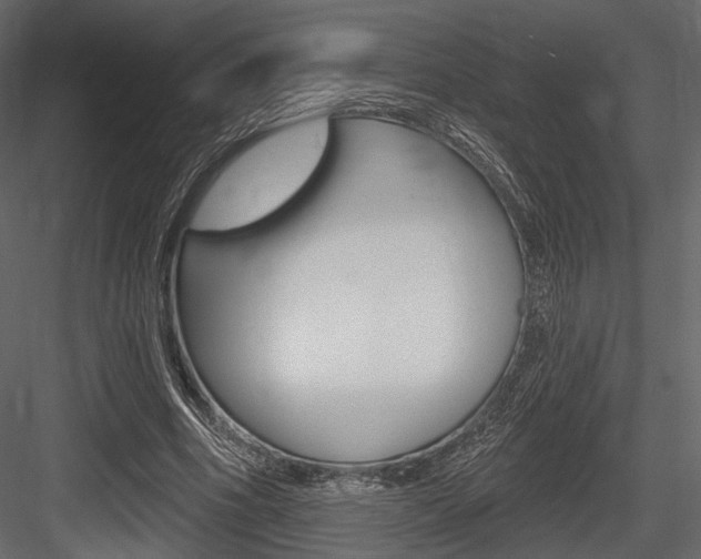 X0000084600586200702231038