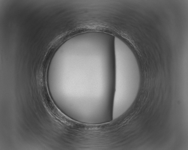 X0000084600587200702231038