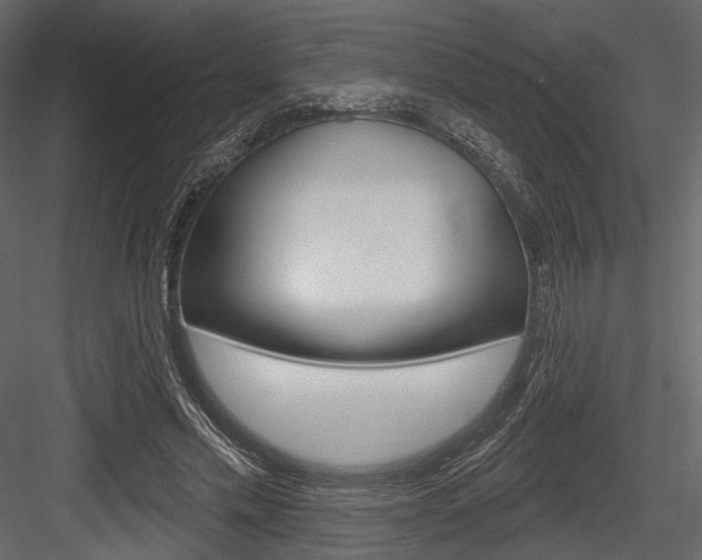 X0000084600589200702231038