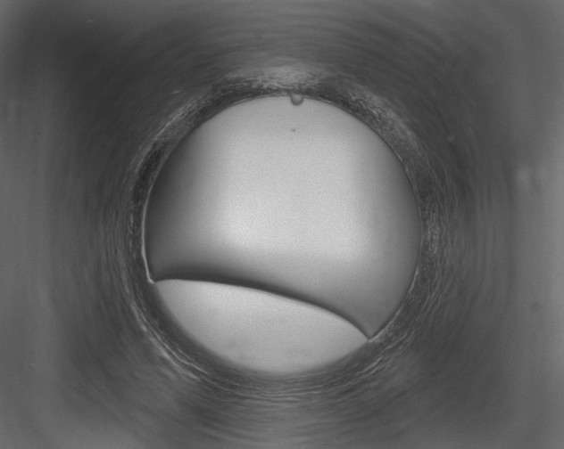 X0000084600591200702231038
