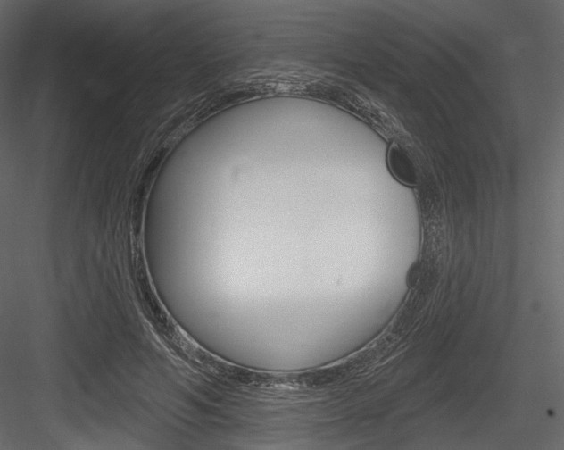X0000084600594200702231038