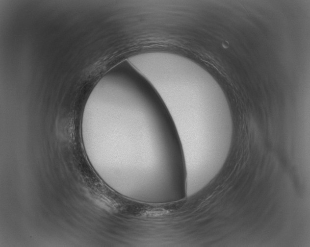 X0000084600595200702231038