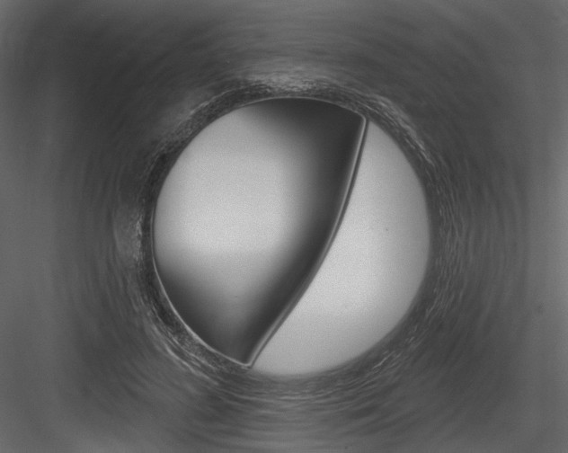 X0000084600596200702231038
