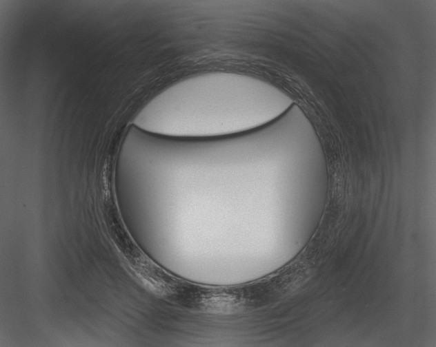 X0000084600598200702231038