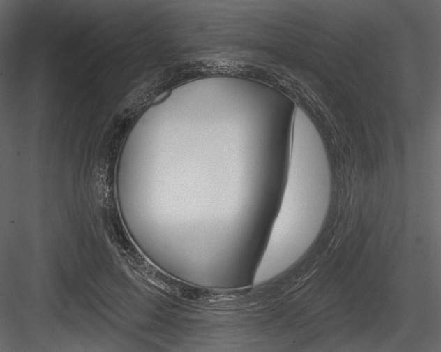 X0000084600599200702231038