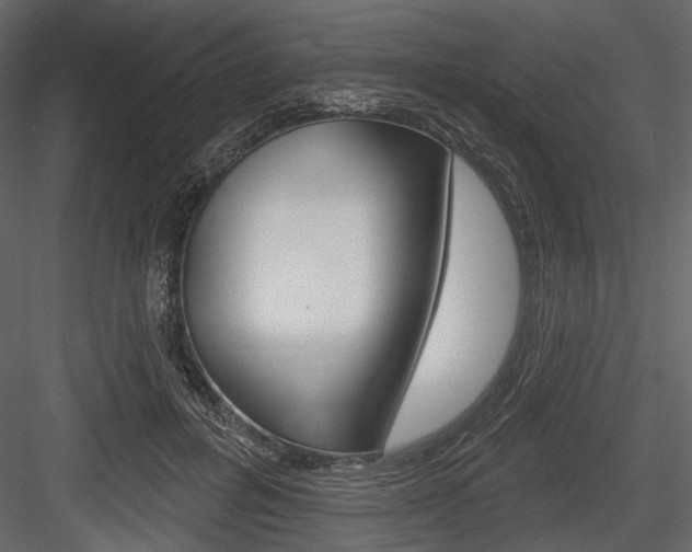 X0000084600600200702231038