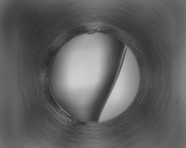 X0000084600601200702231038