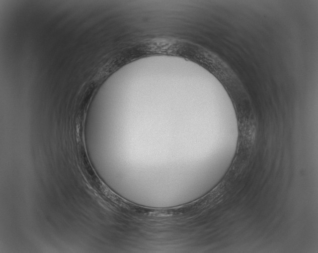 X0000084600602200702231038