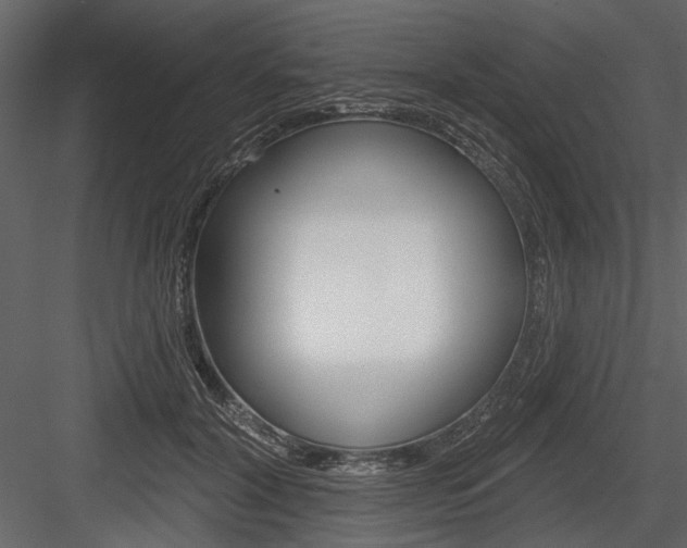 X0000084600604200702231038