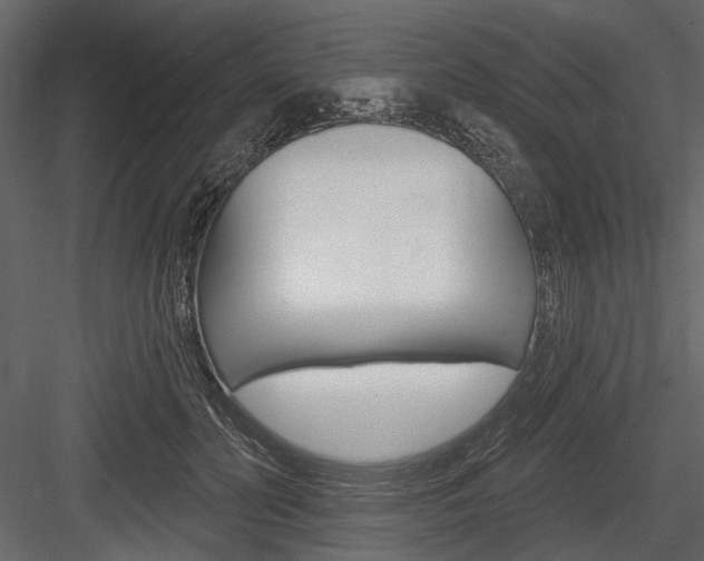 X0000084600606200702231038